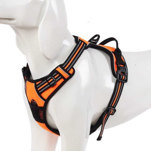 Chai's Choice Premium Outdoor Adventure Harness