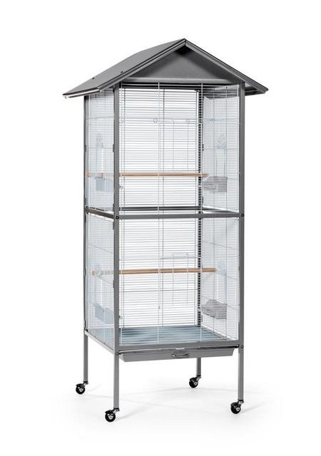 Prevue F035 Charming Aviary Large
