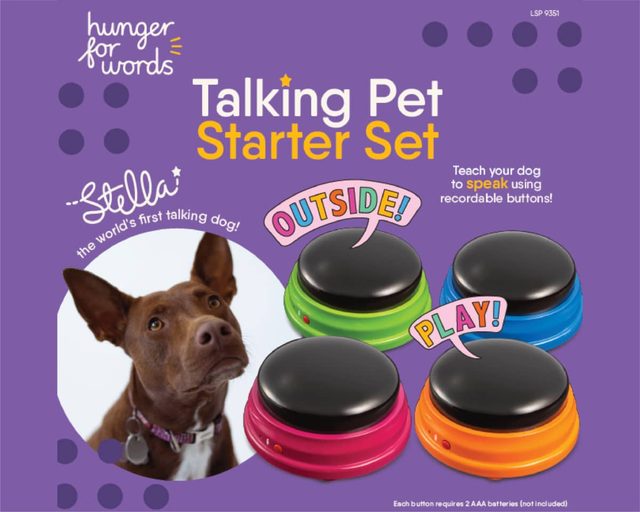 Hunger for Words Talking Pet Starter Set