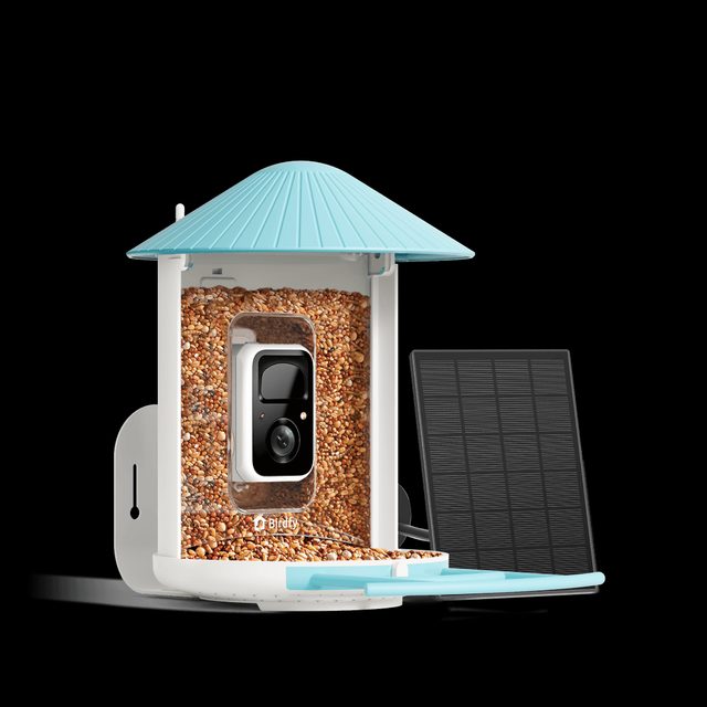 NETVUE Birdfy AI Smart Bird Feeder Camera Solar Powered