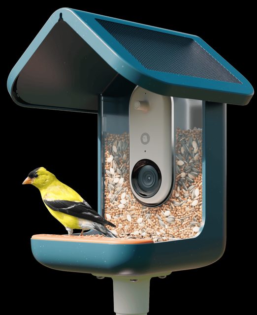 Bird Buddy Pro Solar Smart Bird Feeder with Camera