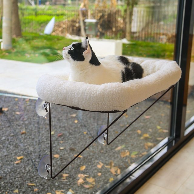 Zakkart Cat Window Perch with Hardwood Frame
