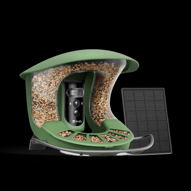 Birdfy 2 Smart Bird Feeder with Dual-Lens Camera